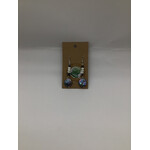 Sir Charles Abalone Shell/Mother of Pearl Earrings