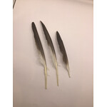 Duck Feather (2) for $2.98