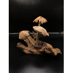 3 Smooth Choppy Caps #21