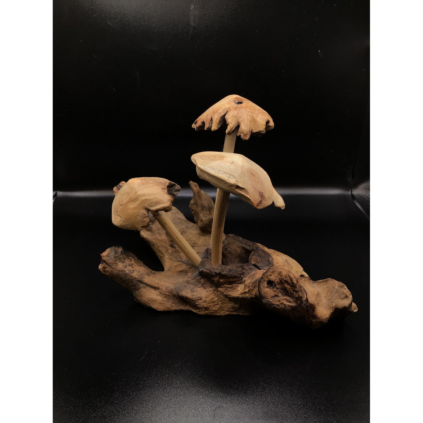 3 Smooth Choppy Caps #21