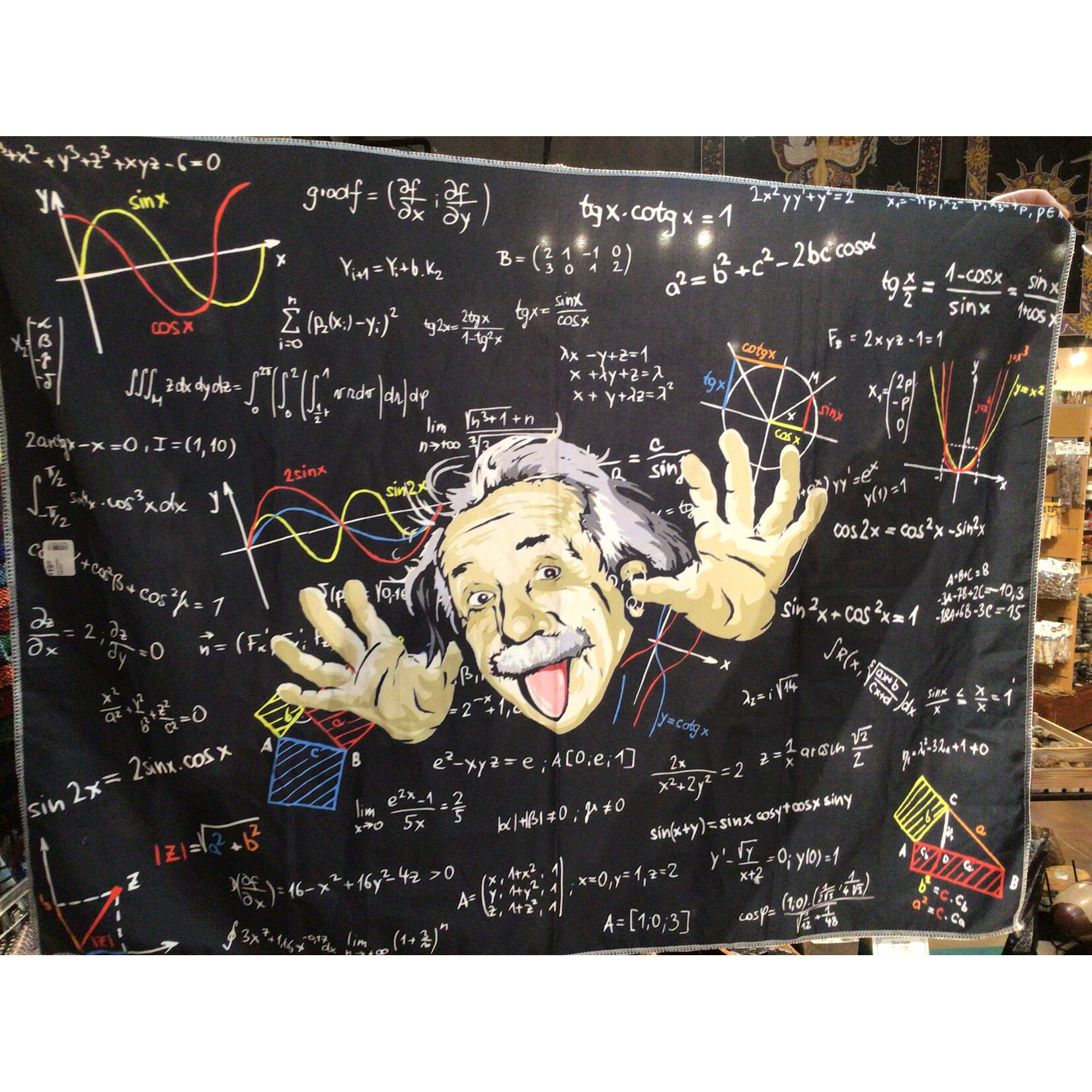 Fun Einstein Tapestry