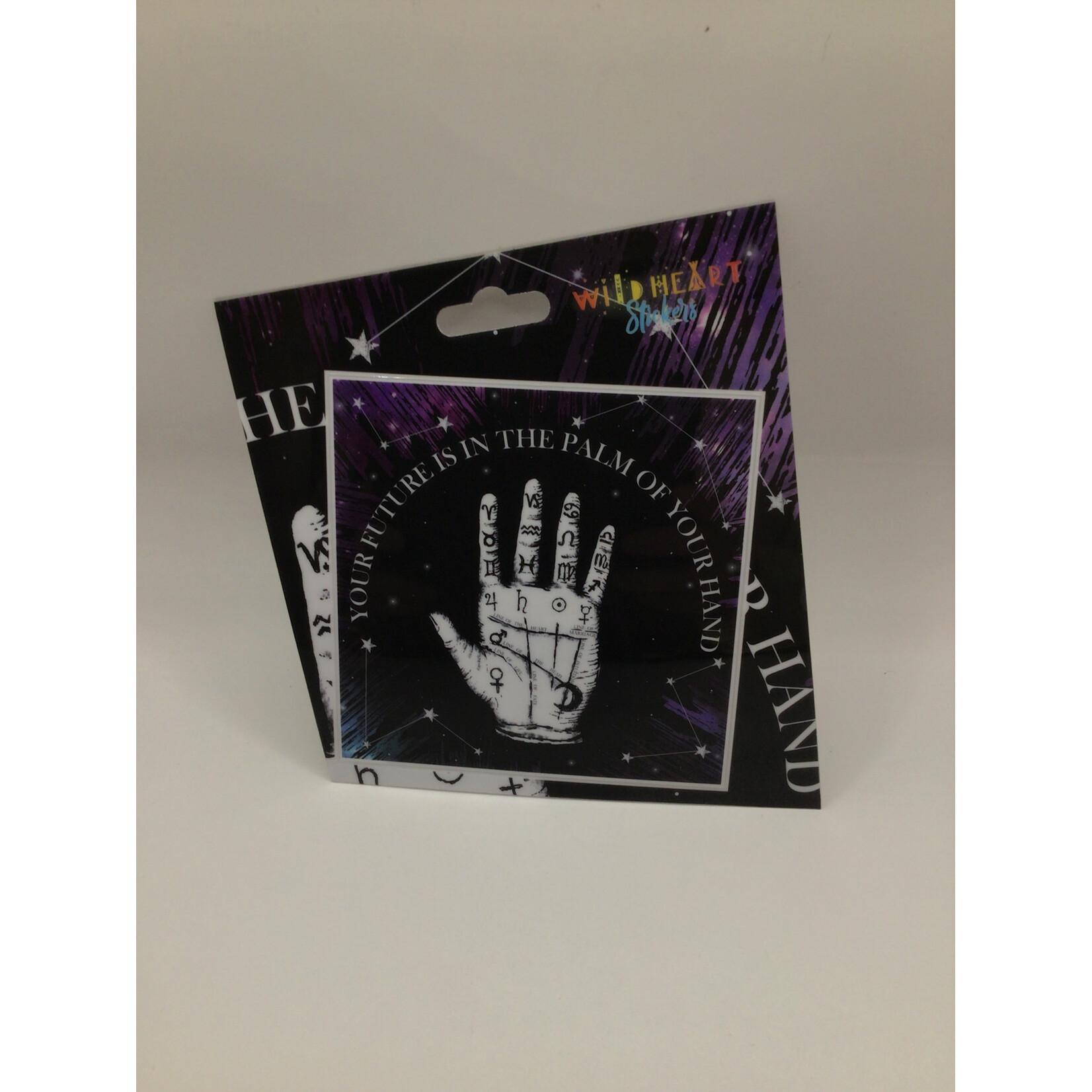Palmistry Sticker ST147