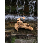 Cluster of Mushrooms on Driftwood 7x4.5, 64368