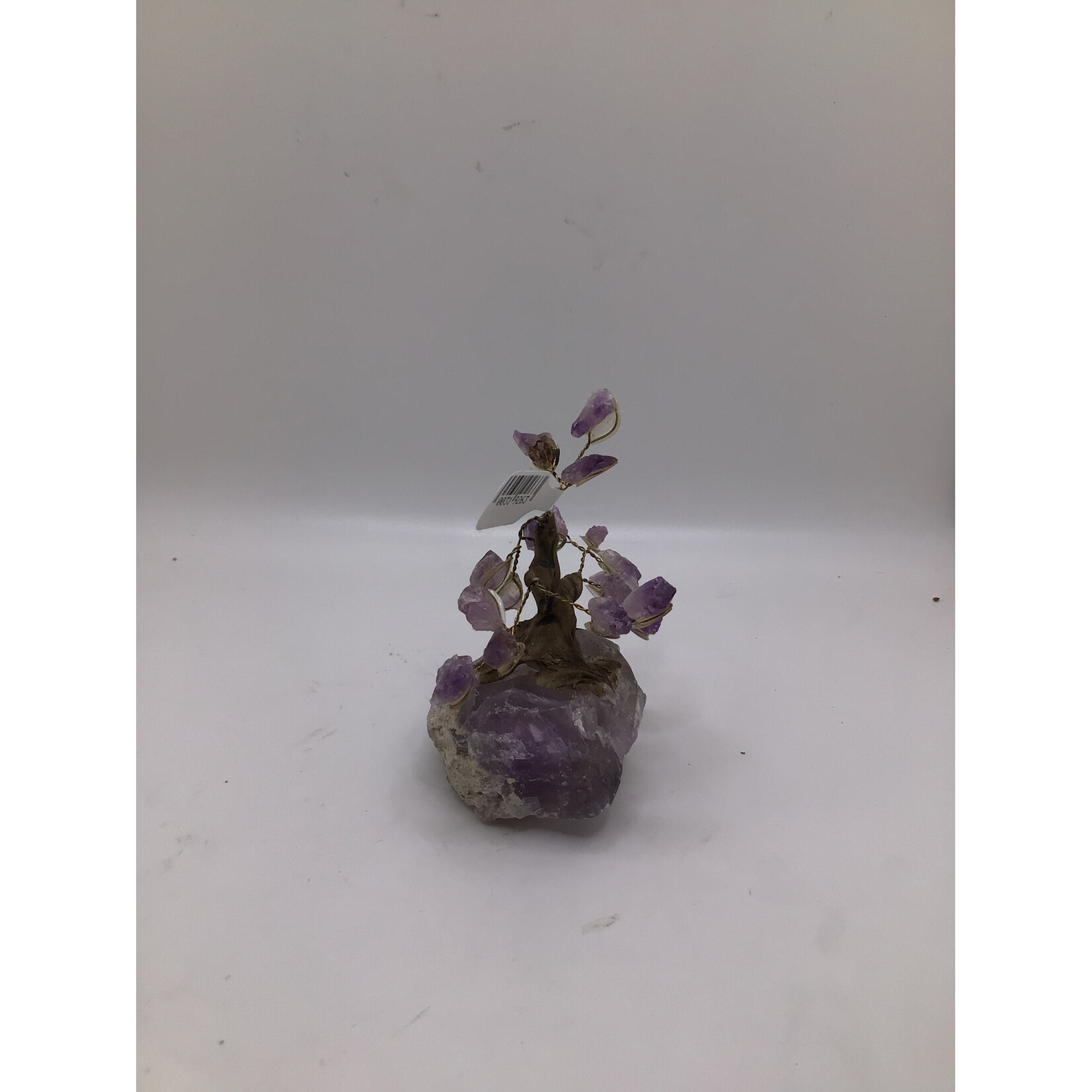 Mini Bonsai Tree Rough