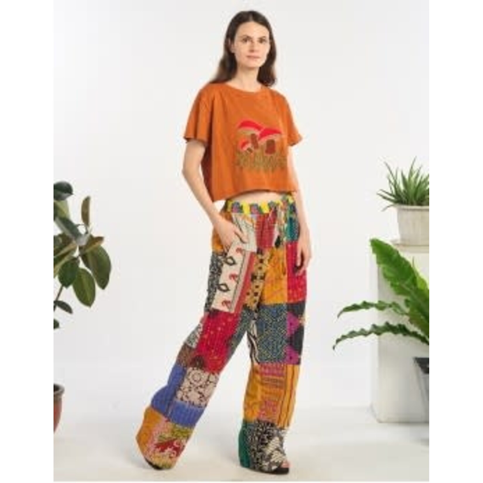 Rust Mushroom Cotton Crop Tee 1595