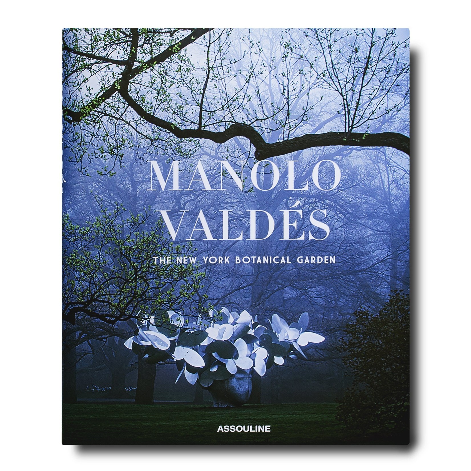 Assouline Manolo Valdes: The New York Botanical Garden