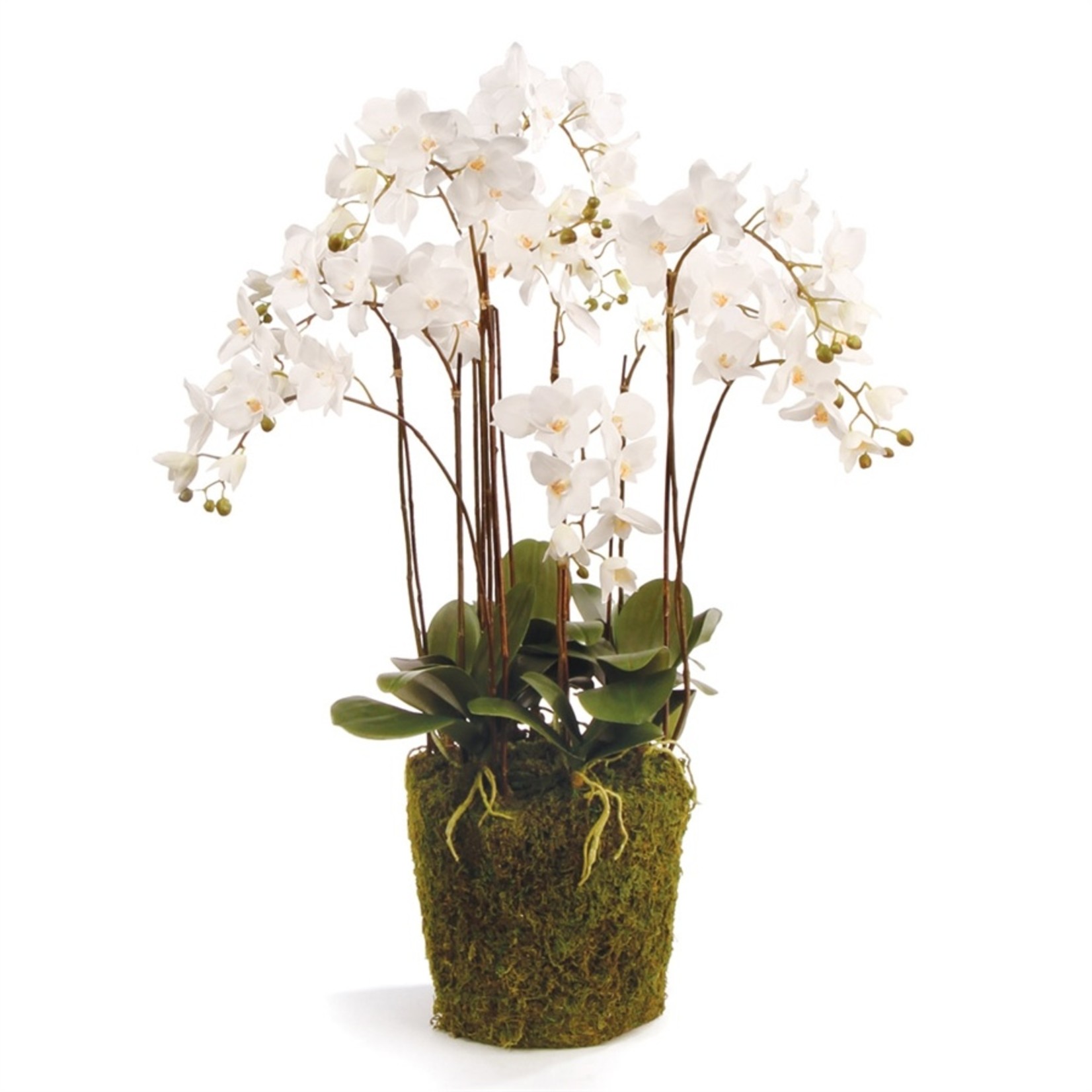 Napa Home and Garden Phalaenopsis White Orchid Drop-In - 36"