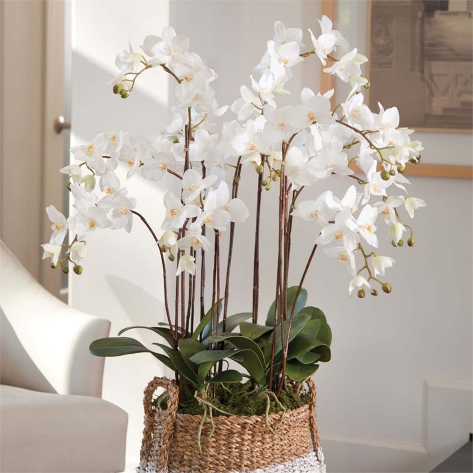 Napa Home and Garden Phalaenopsis White Orchid Drop-In - 36"