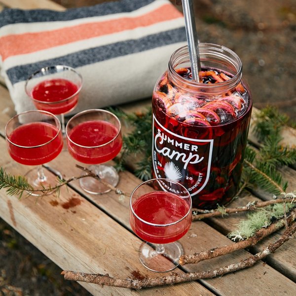 Camp Craft Cocktails Molly Singer Home