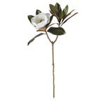 Napa Home and Garden Magnolia Stem in White - 31"