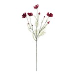 Napa Home and Garden Cosmos Stem in Chocolate - 26"