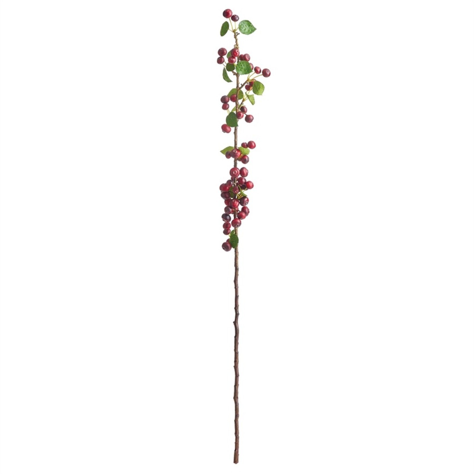 Napa Home and Garden Crabapple Branch - 43"