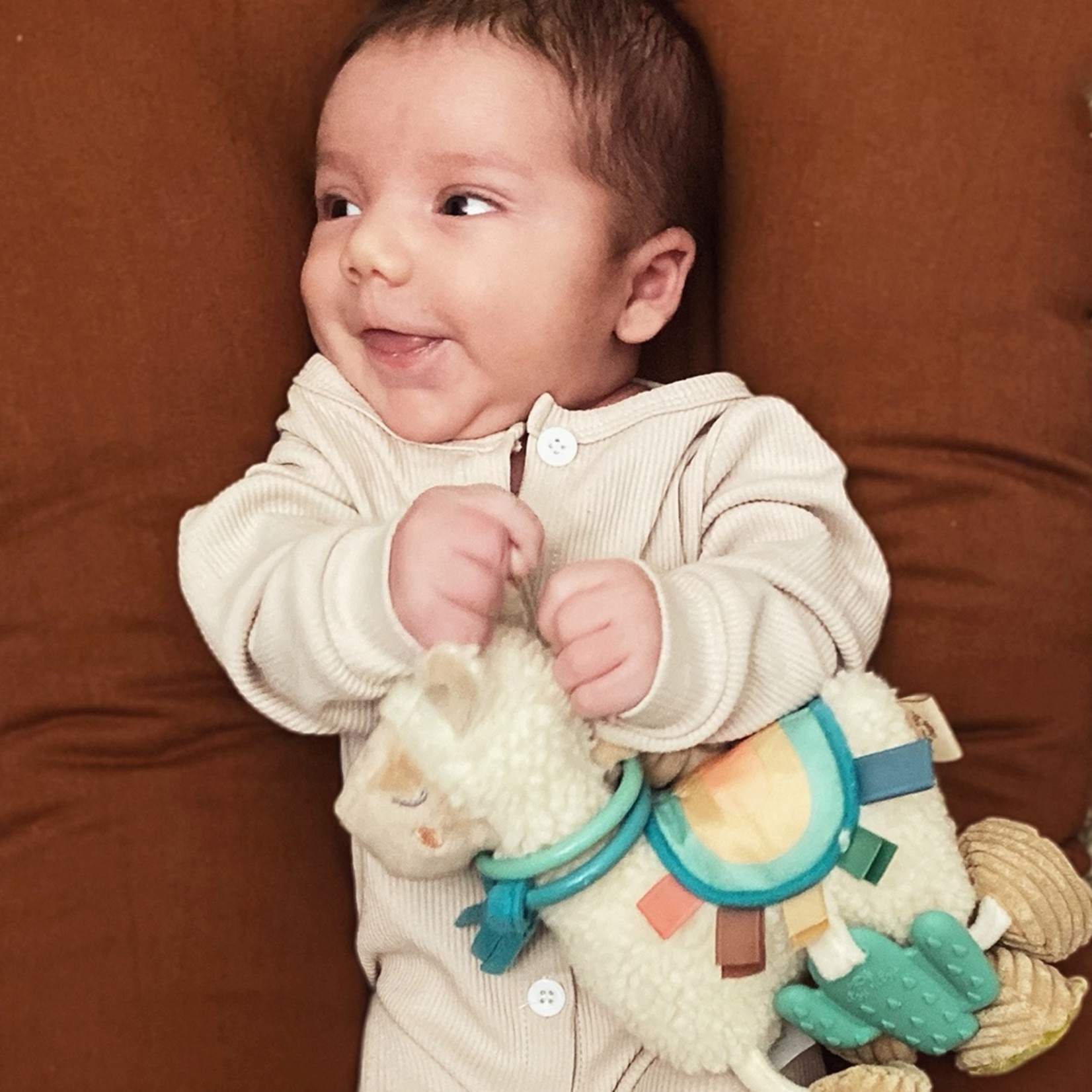 Itzy Ritzy Activity Plush with Teether