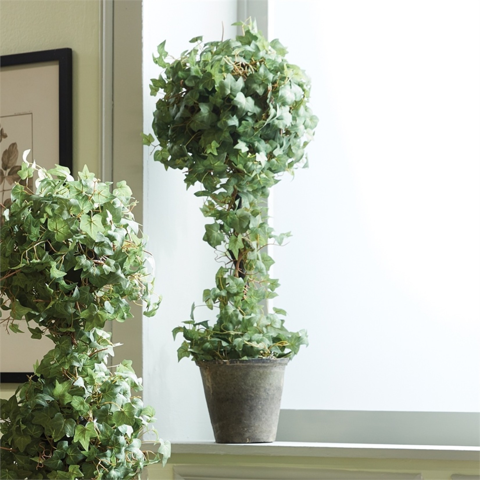 Large Ivy Topiary with flowers