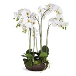 Napa Home and Garden Phalaenopsis White Orchid Bowl Drop-In 31.5"