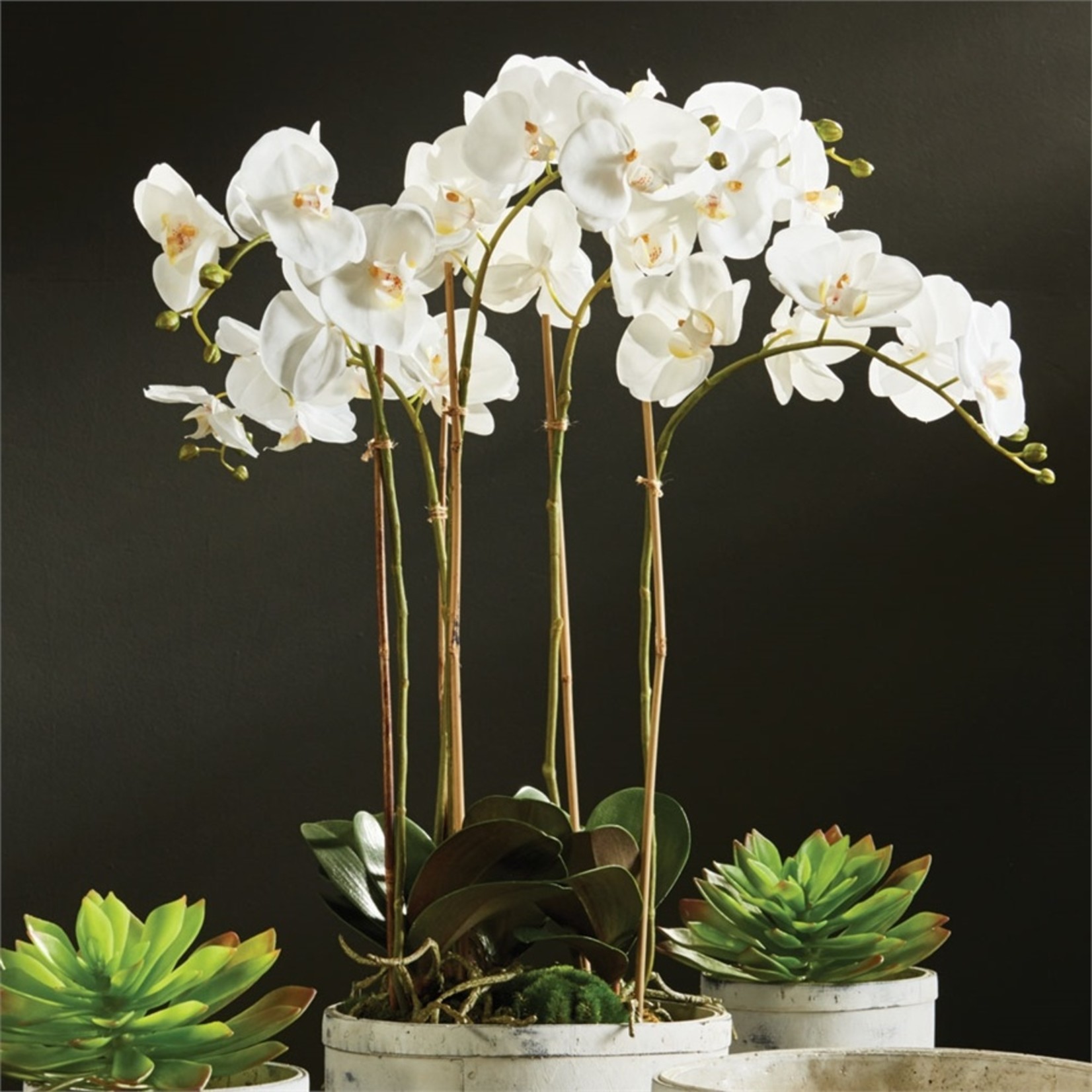 Napa Home and Garden Phalaenopsis White Orchid Bowl Drop-In 25"