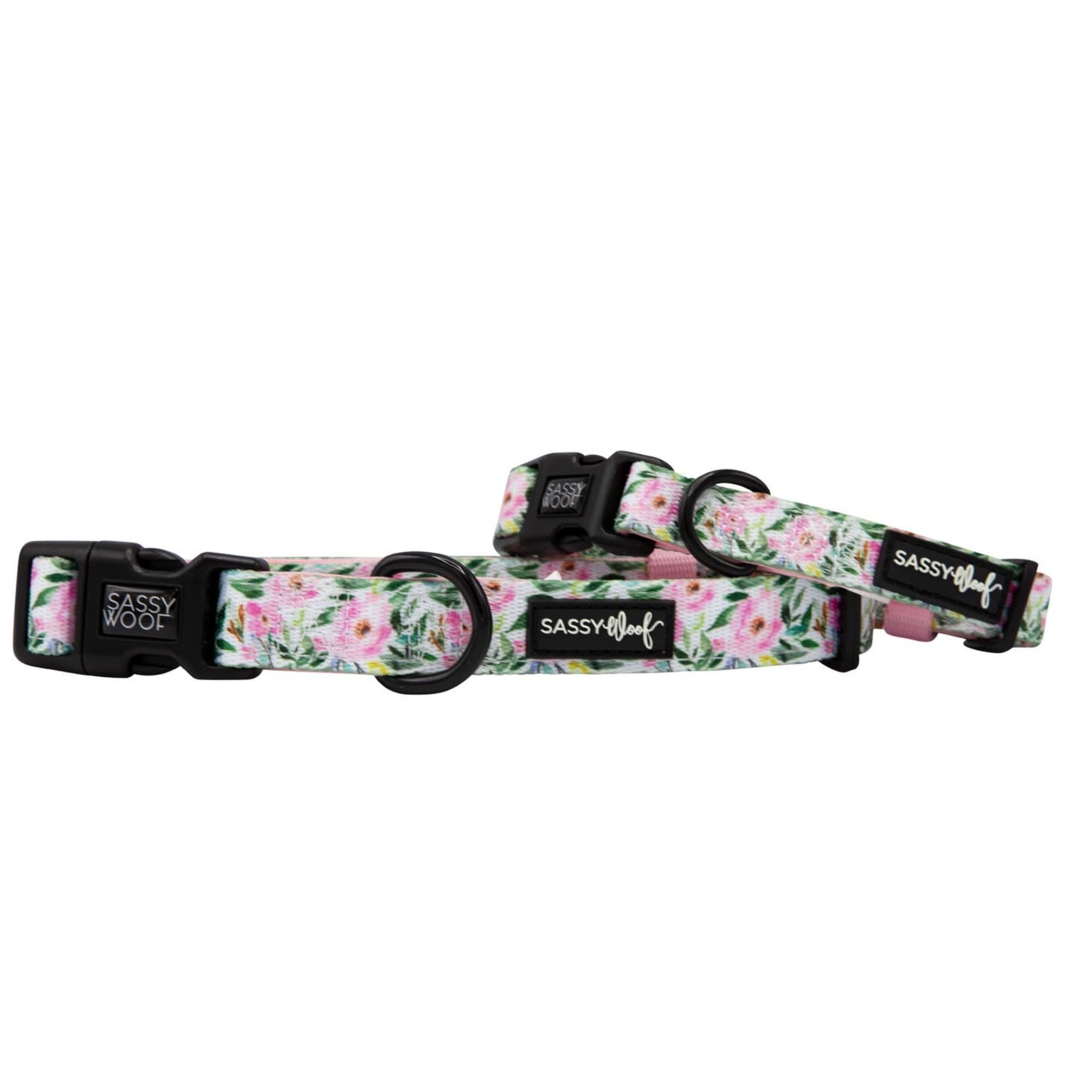 Sassy Woof Dog Collars & Leash in Magnolia