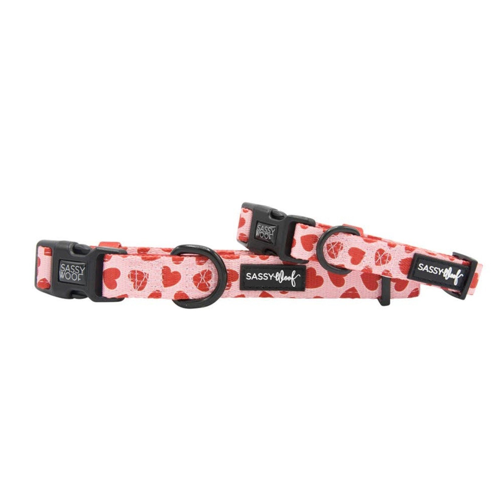 Sassy Woof Dog Collars & Leash in Love at First Bark