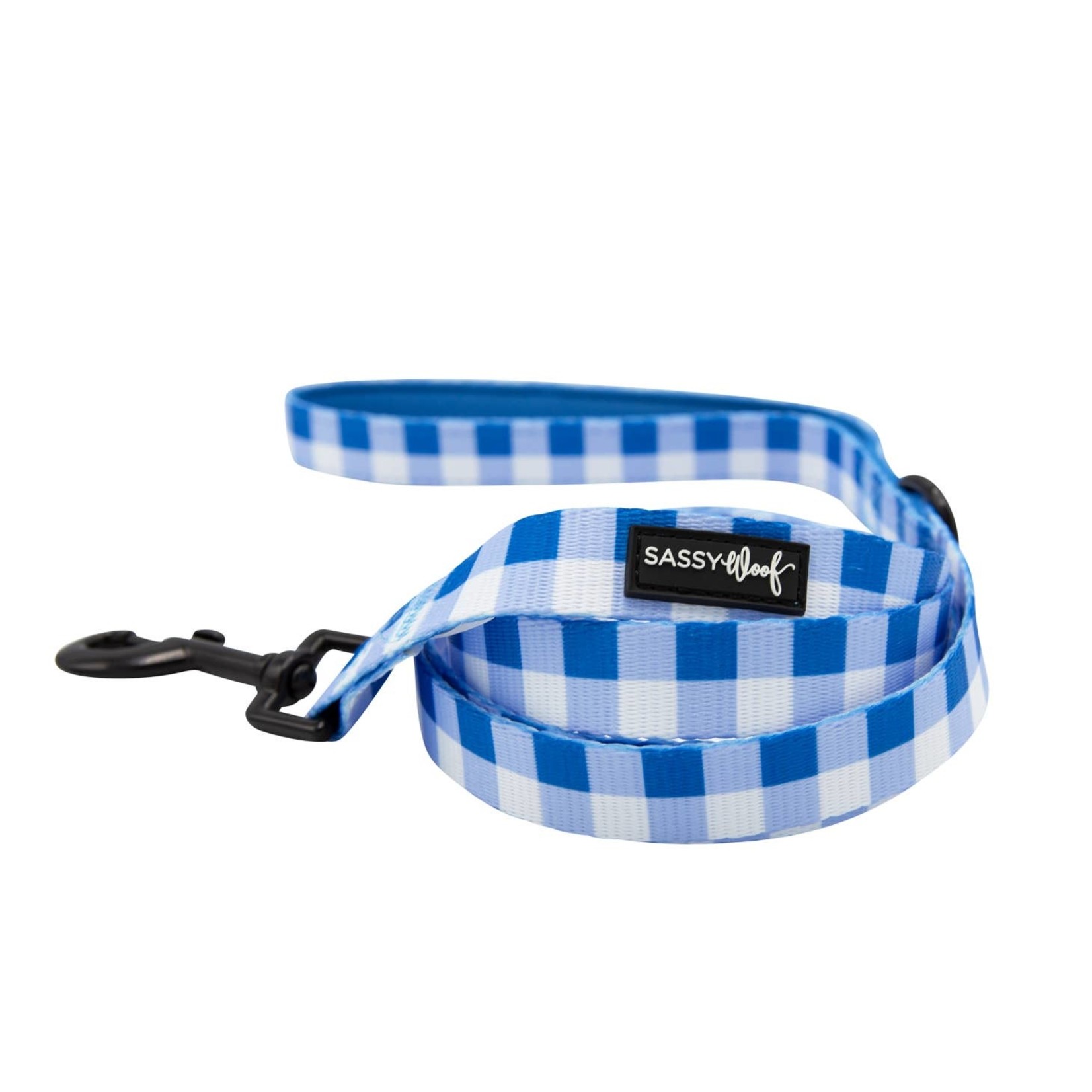 Sassy Woof Dog Collars & Leash in Wizard of Paws
