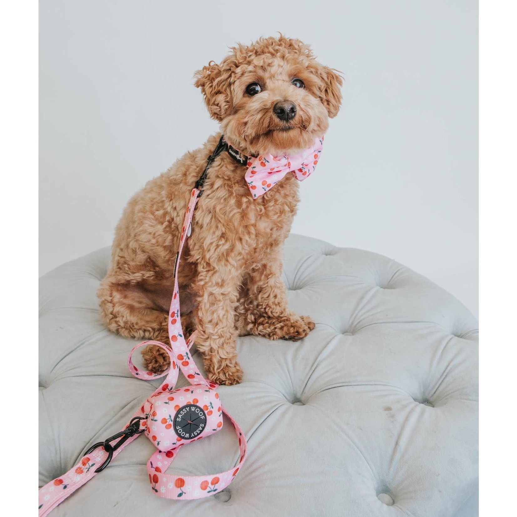 Sassy Woof Dog Collars & Leash in Mon Cherry