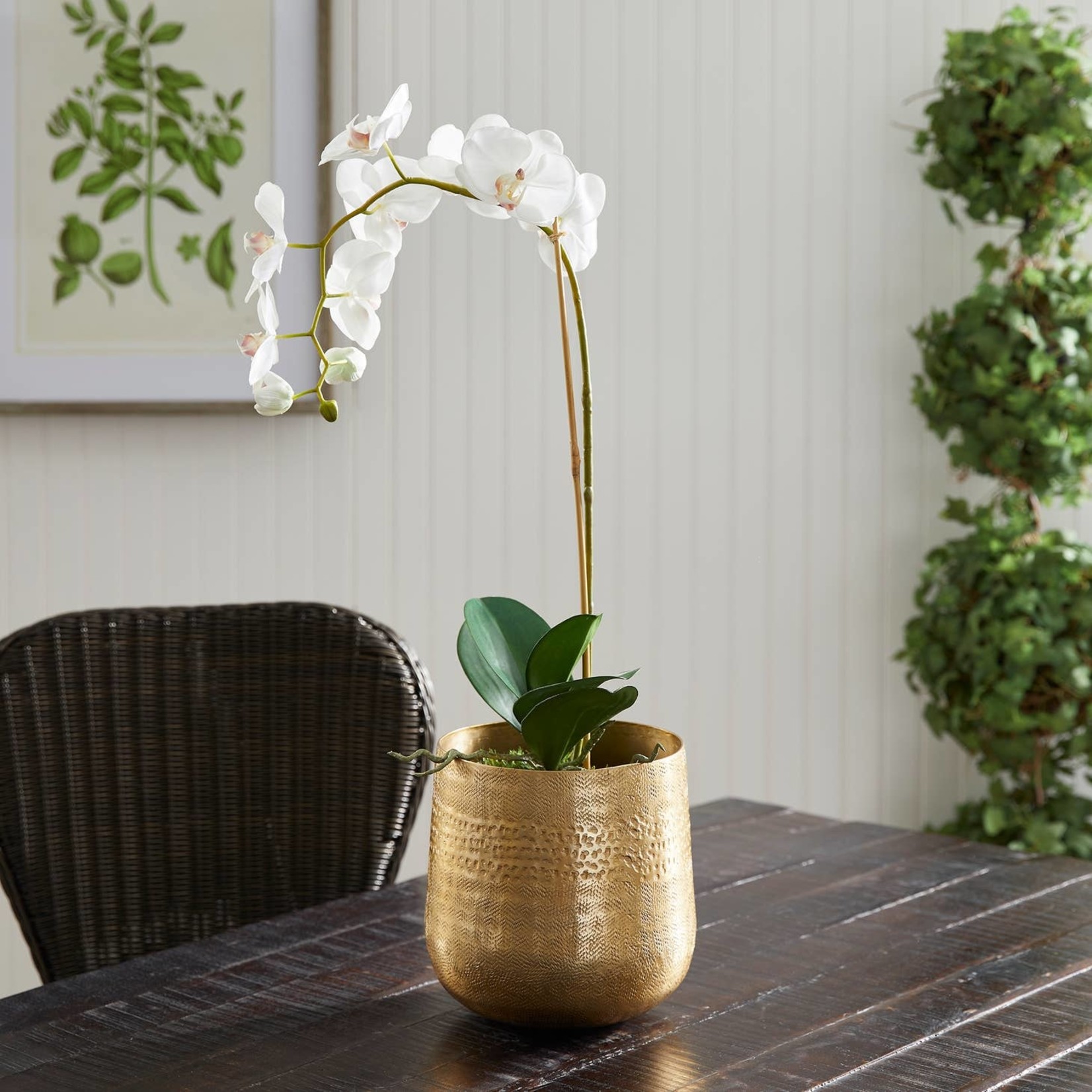 Napa Home and Garden Emberlynn Cachepots in Gold