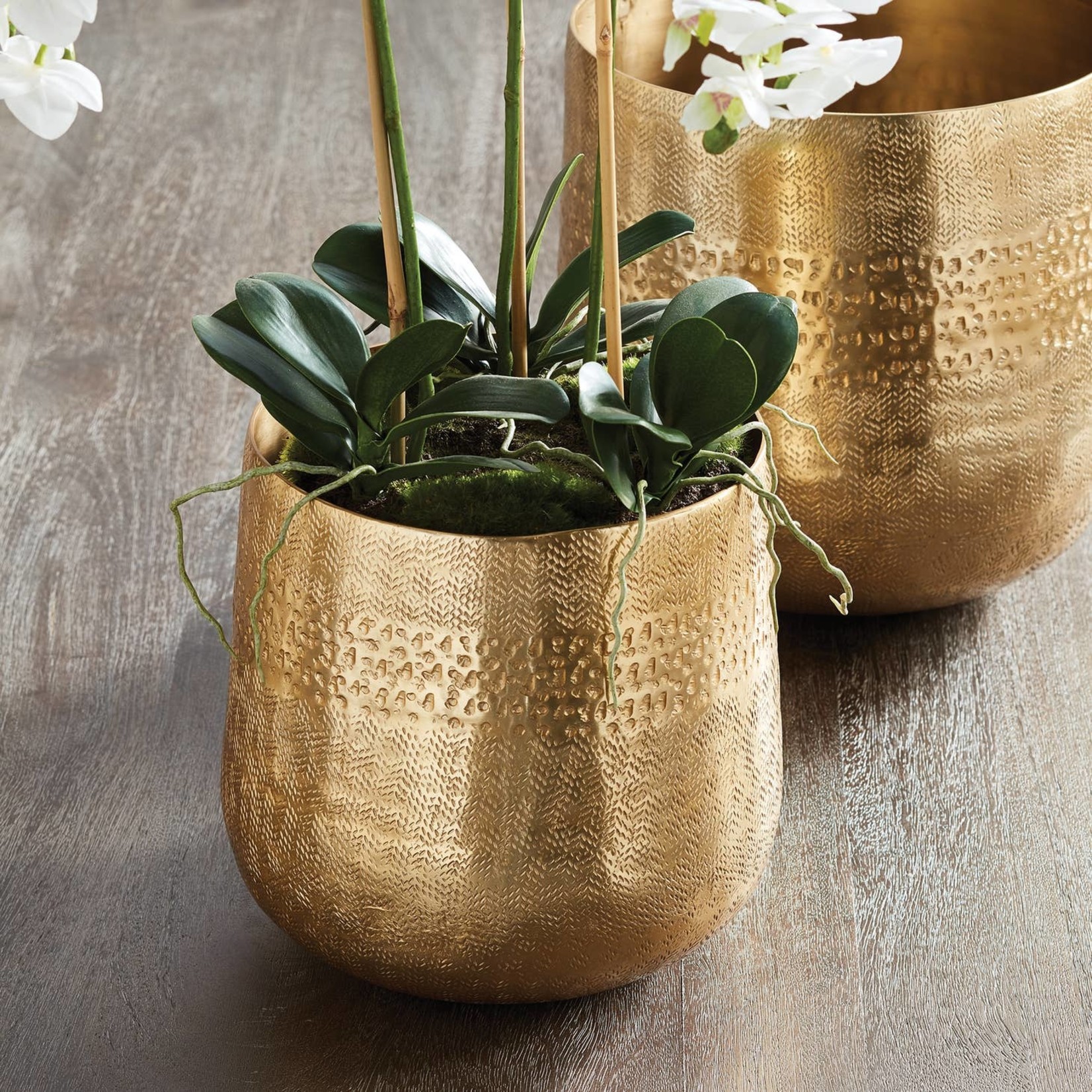 Napa Home and Garden Emberlynn Cachepots in Gold