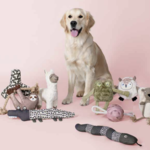 Fringe Studio Canvas Dog Toys