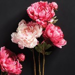 Napa Home and Garden Peony Stems