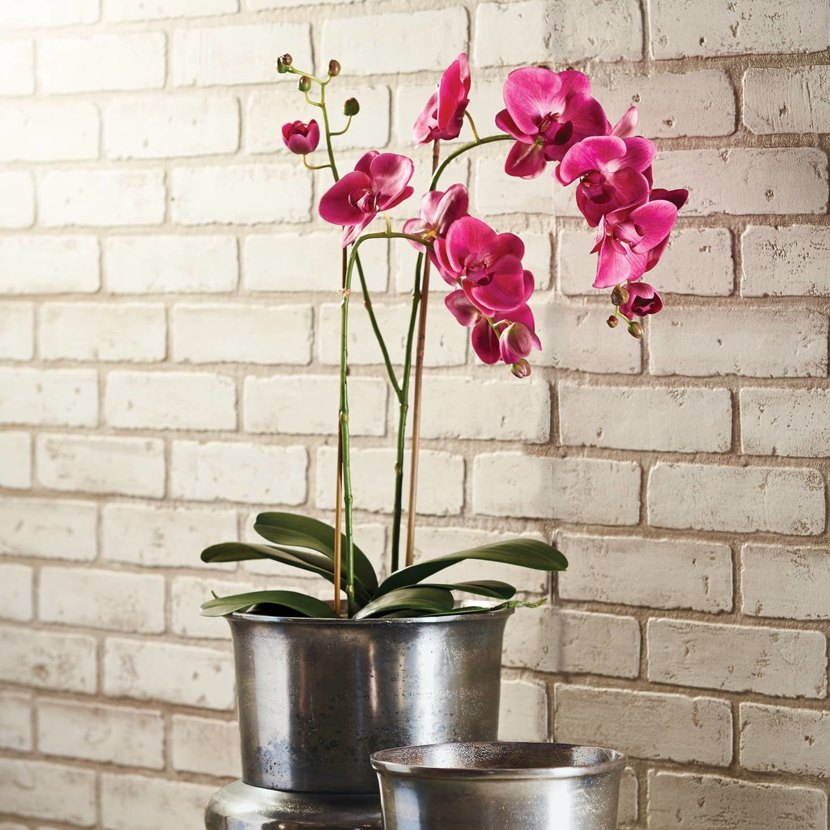 Napa Home and Garden Phalaenopsis Fuchsia Orchid Drop-In - 29"
