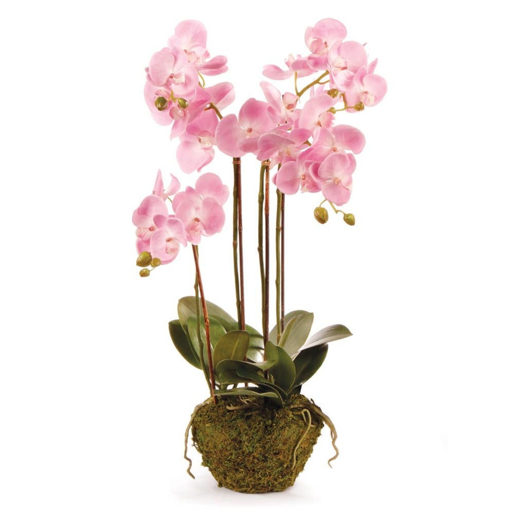 Napa Home and Garden Phalaenopsis Pink Orchid Drop-In - 30"