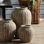 Napa Home and Garden Anais Vases