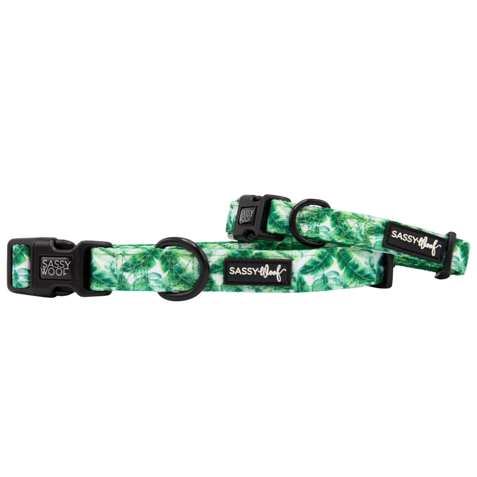 Sassy Woof Dog Collars & Leash in Verano