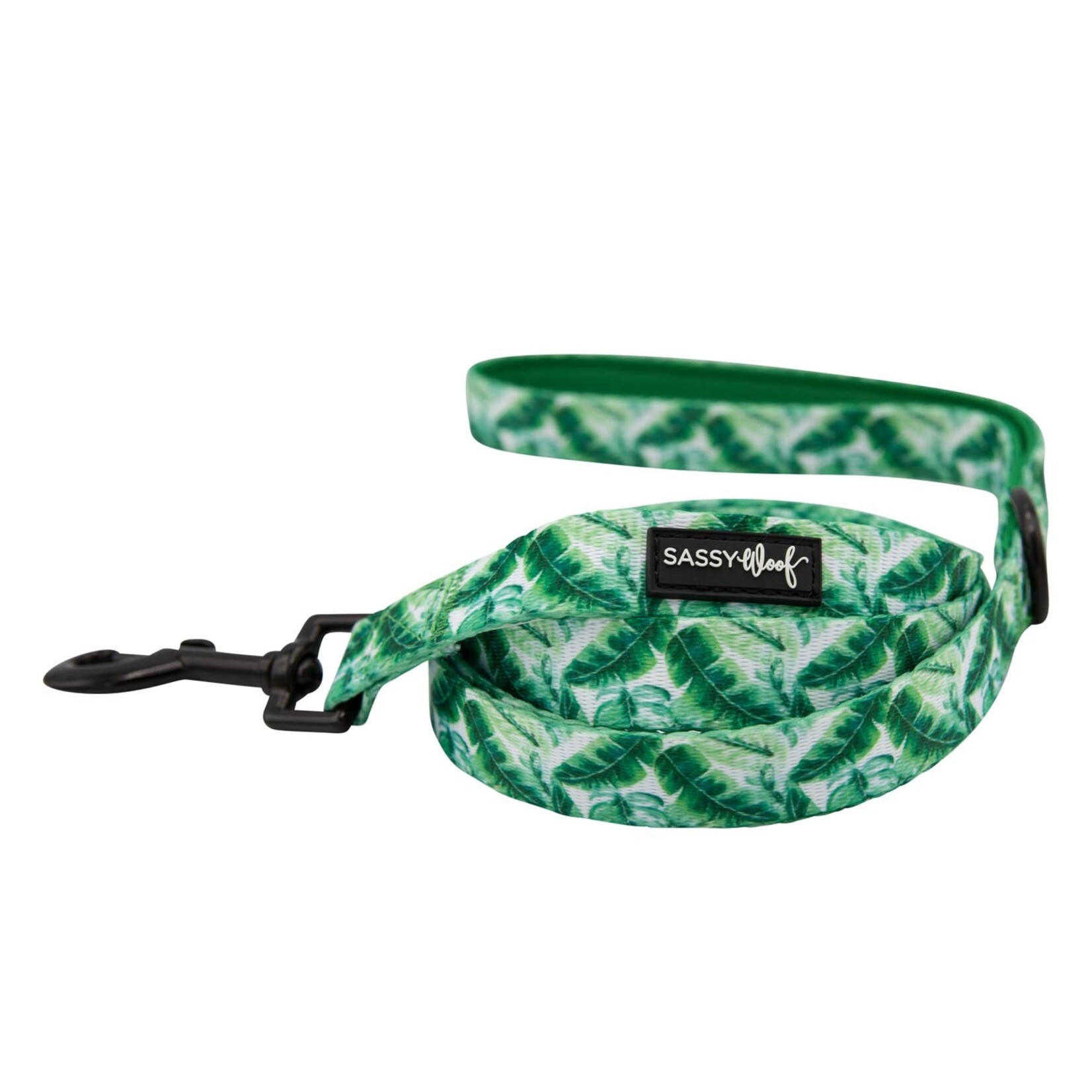 Sassy Woof Dog Collars & Leash in Verano