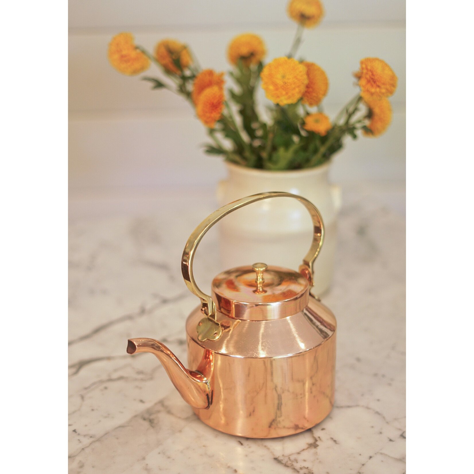 Galley & Fen English Copper Tea Kettle