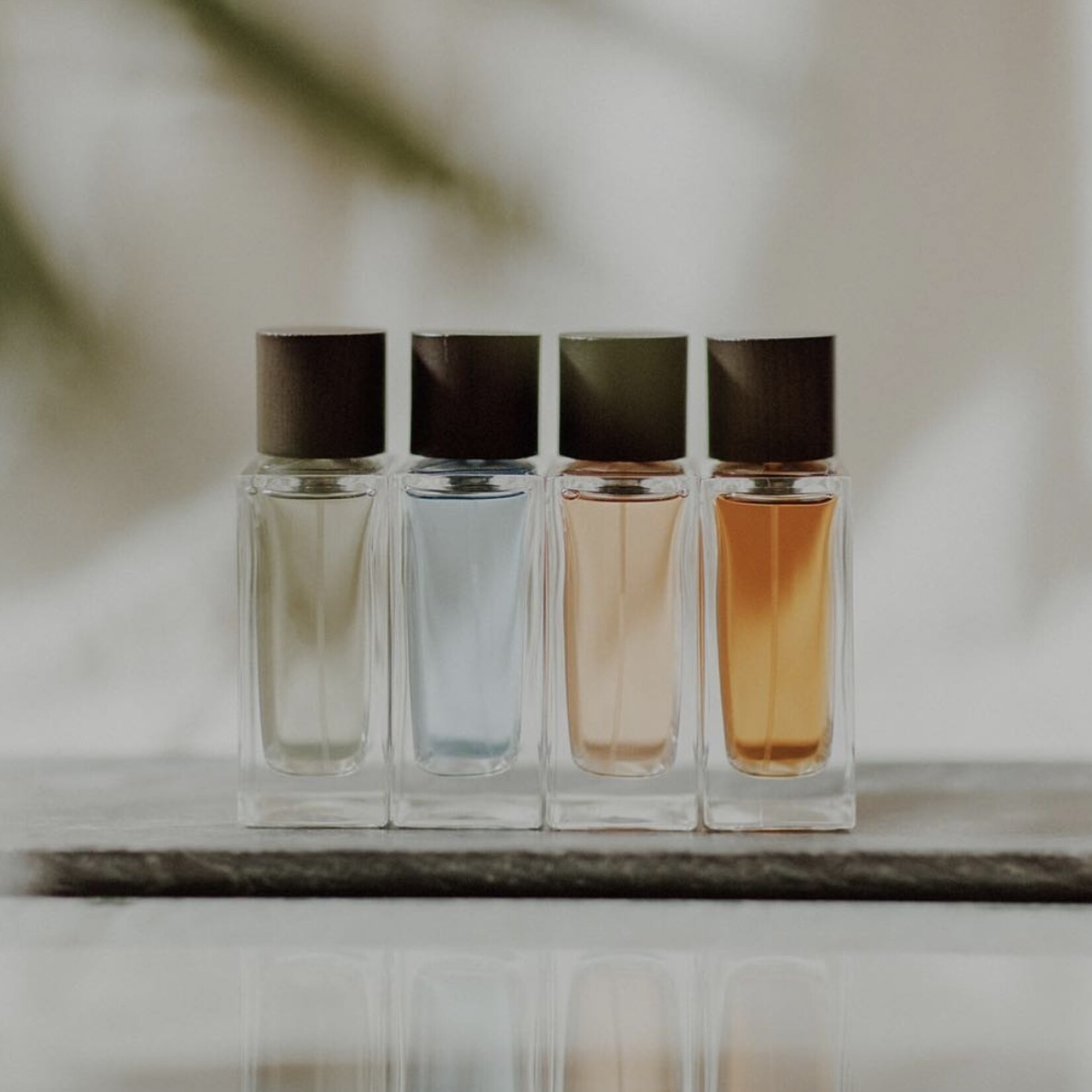 Mistral Men's Cologne Collection