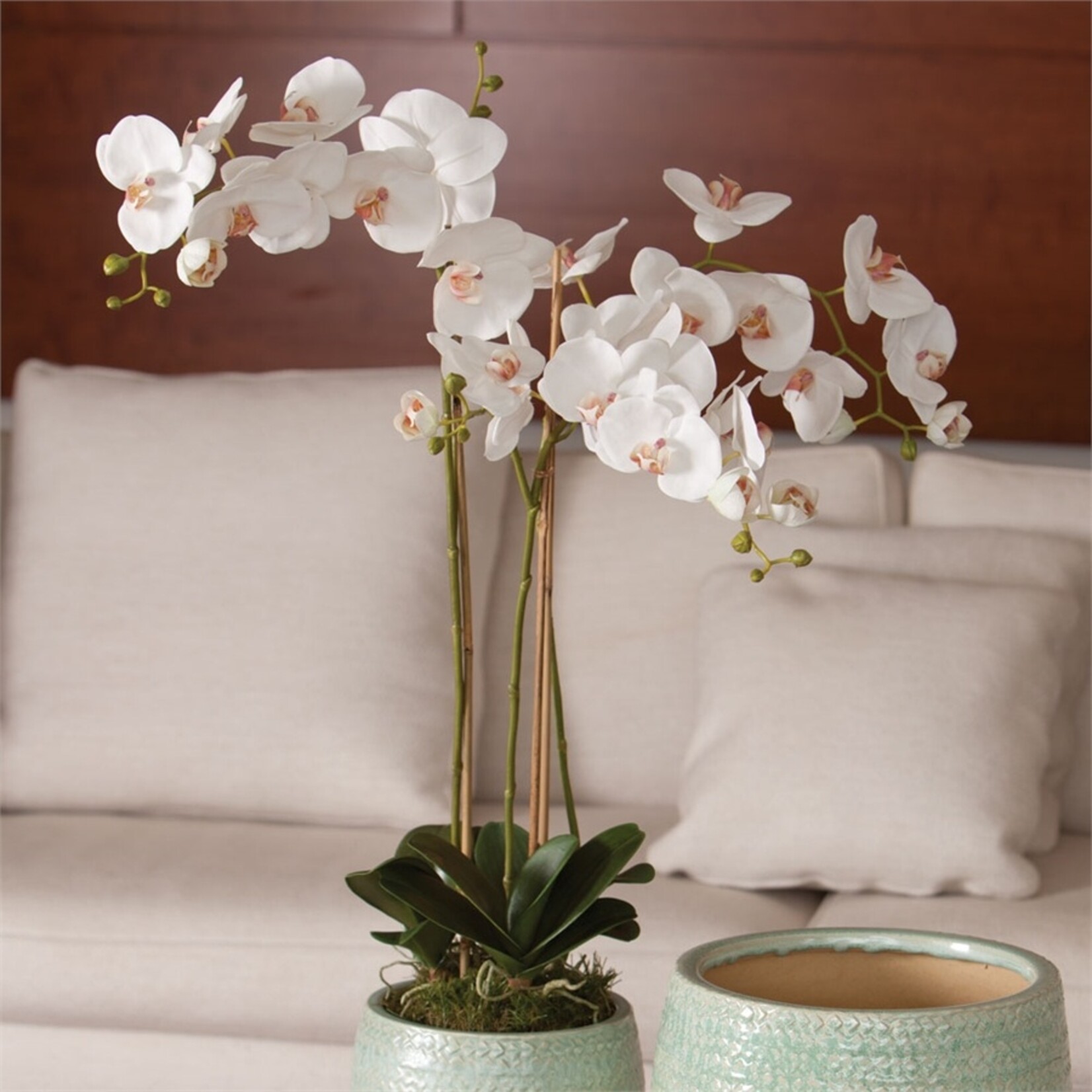 Napa Home and Garden Phalaenopsis White Orchid Drop-In - 33"