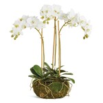 Napa Home and Garden Phalaenopsis White Orchid Bowl Drop-In 16"