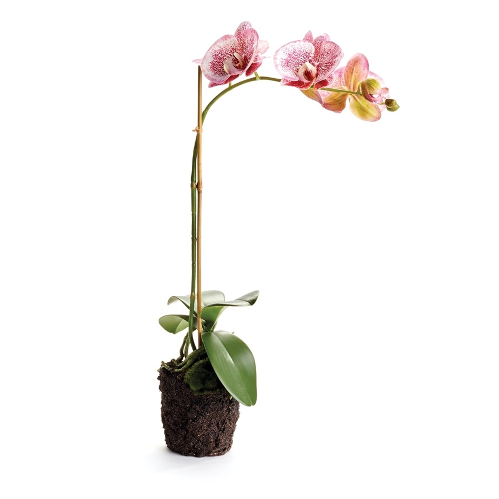 Napa Home and Garden Phalaenopsis Speckled Pink Orchid Drop-In - 21"