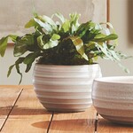 Napa Home and Garden Chryssa Decorative Pots