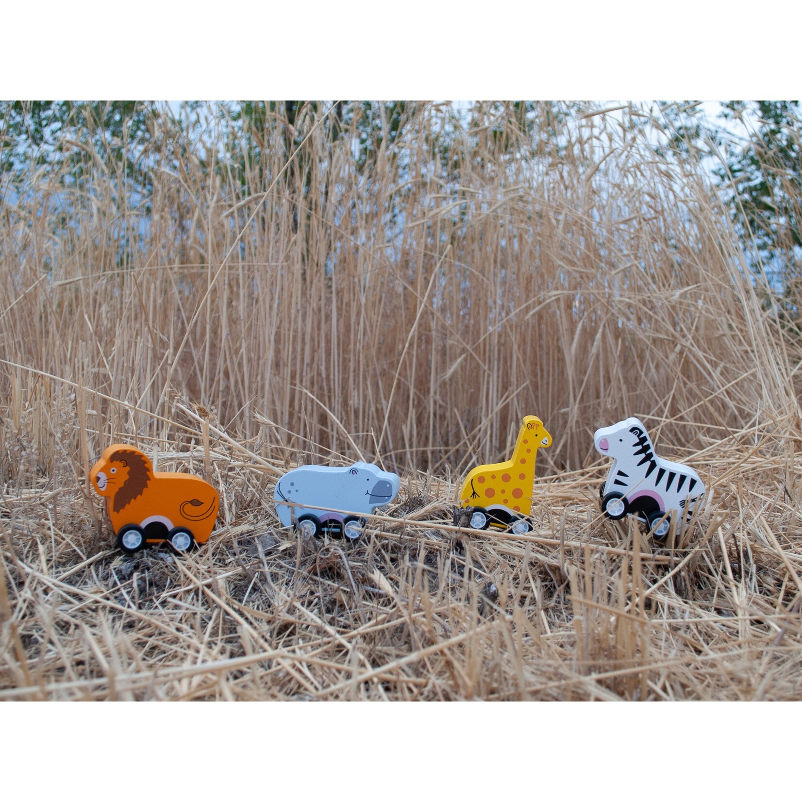 Jack Rabbit Creations Pull-Back Safari Animals