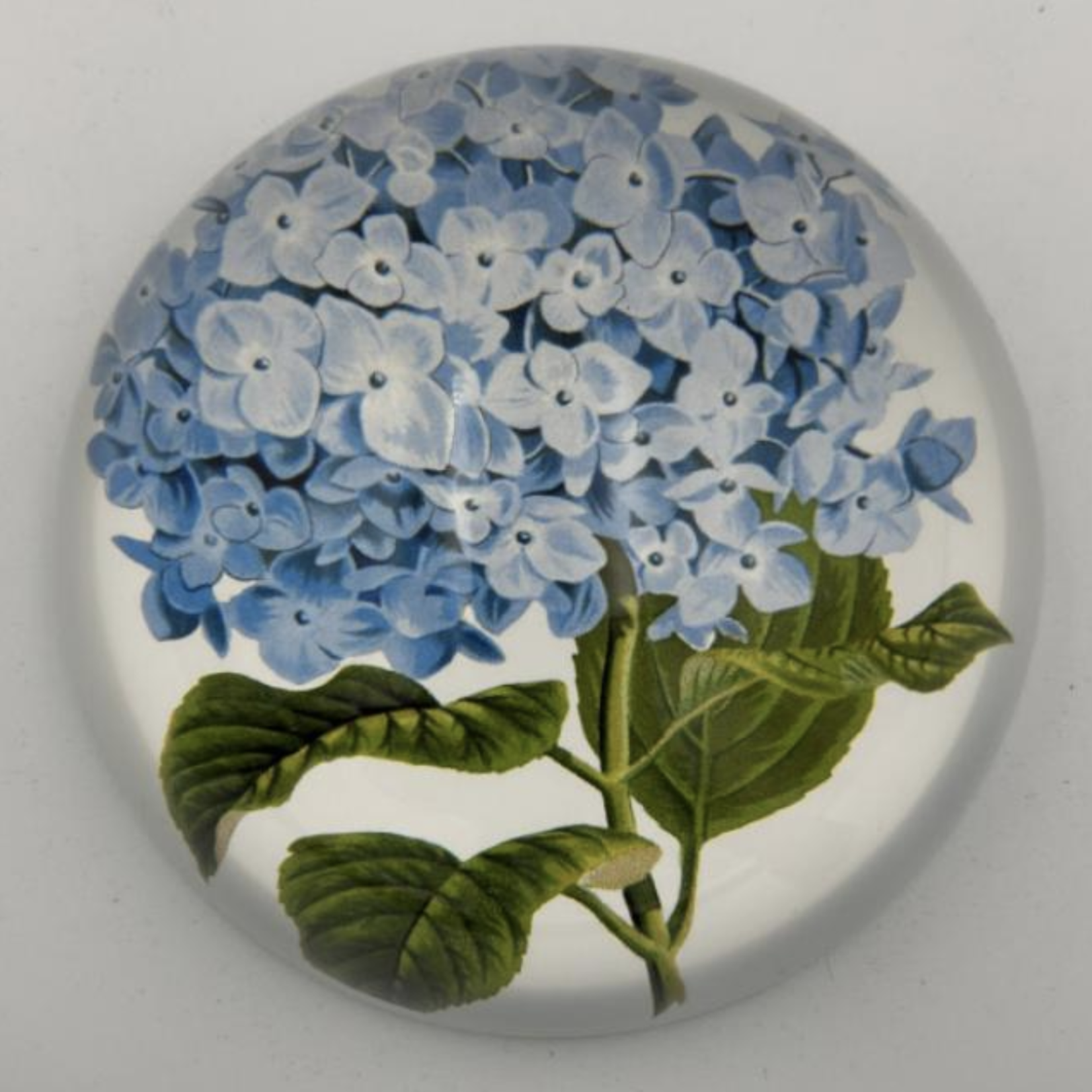 Saint Austin Company Decorative Paperweights in Botanicals