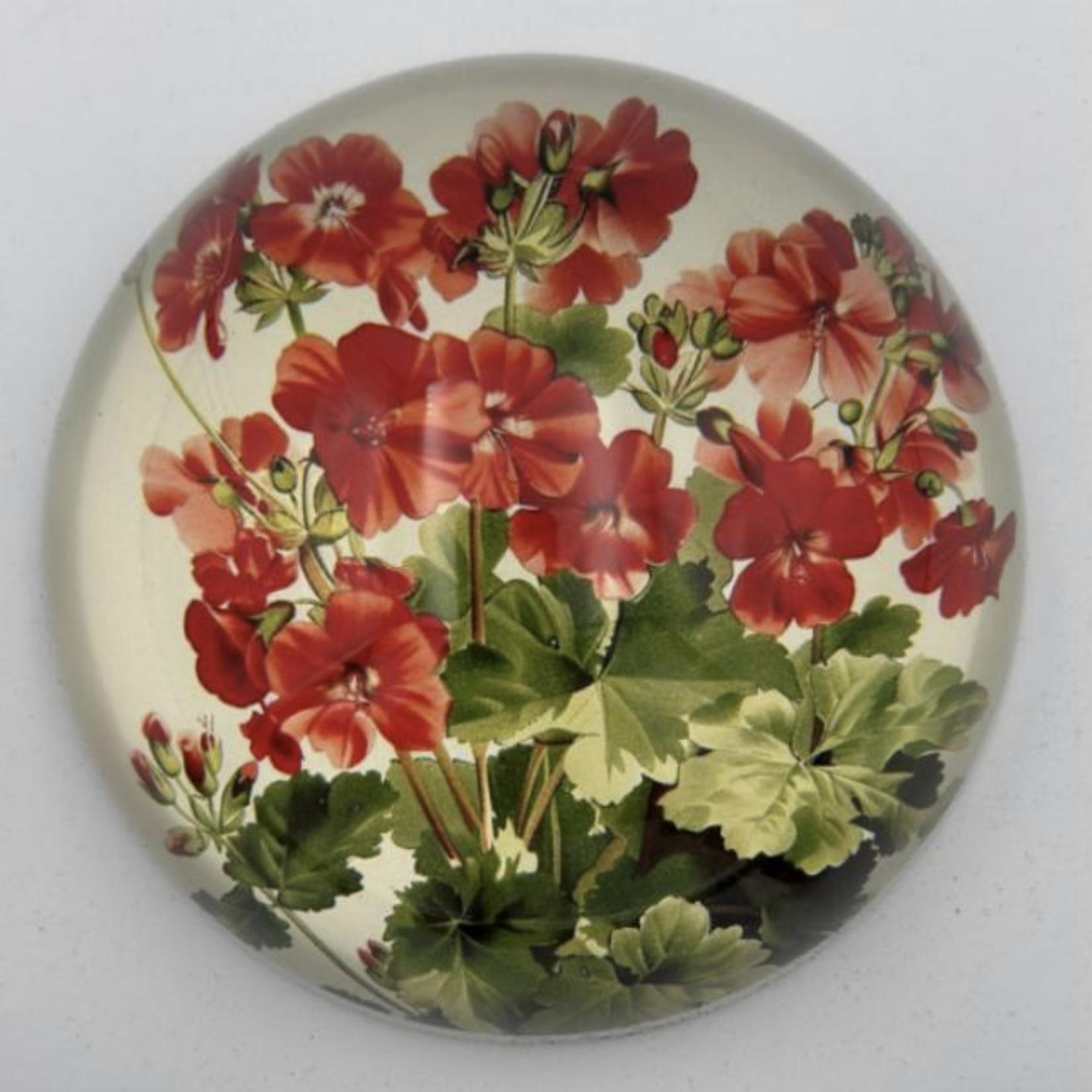 Saint Austin Company Decorative Paperweights in Botanicals
