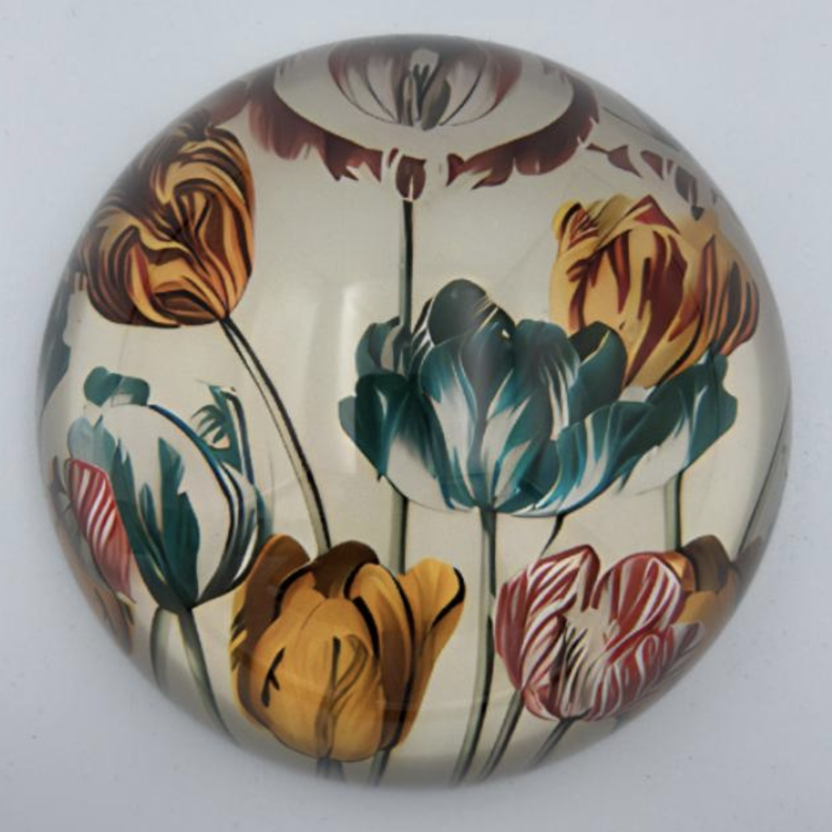 Saint Austin Company Decorative Paperweights in Botanicals