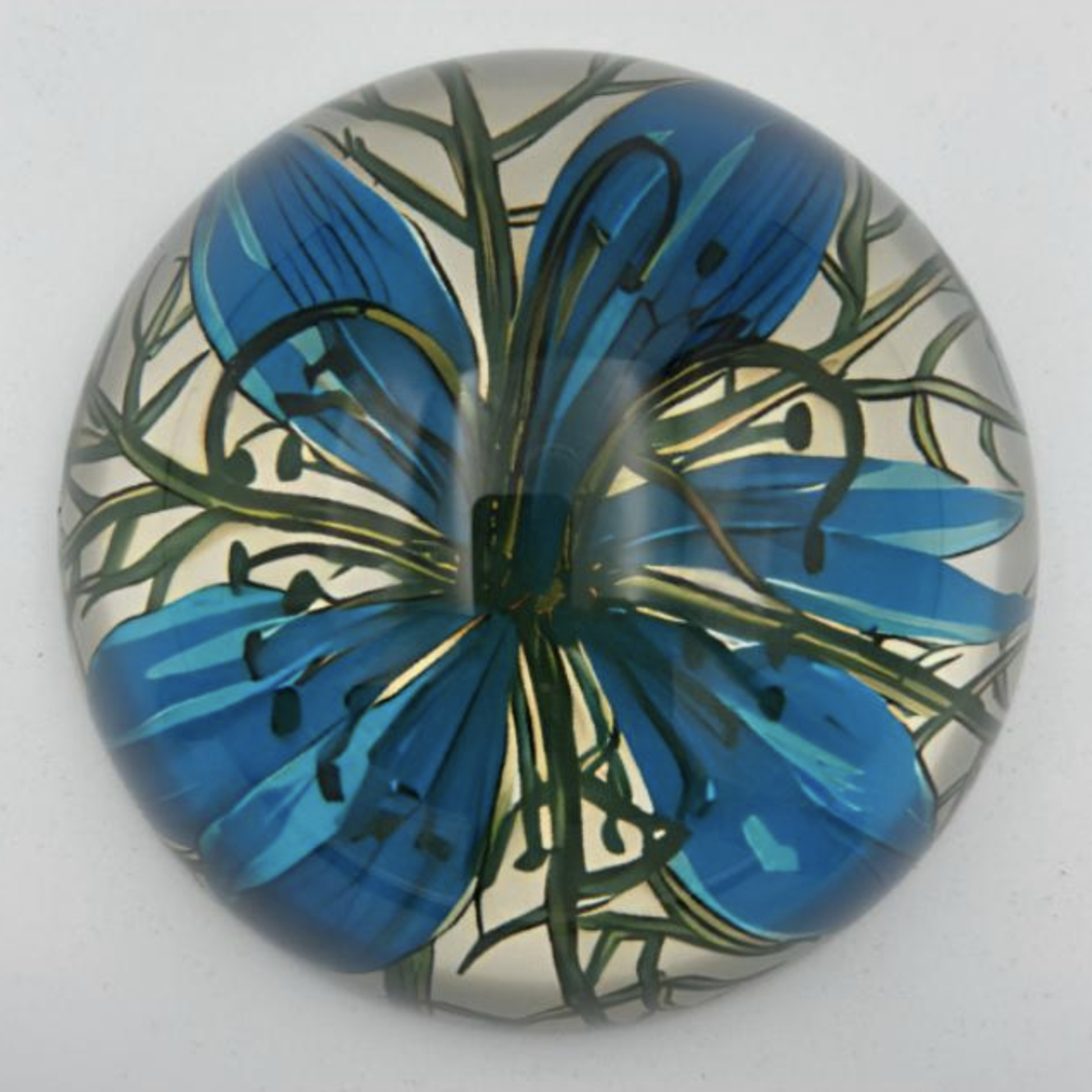 Saint Austin Company Decorative Paperweights in Botanicals