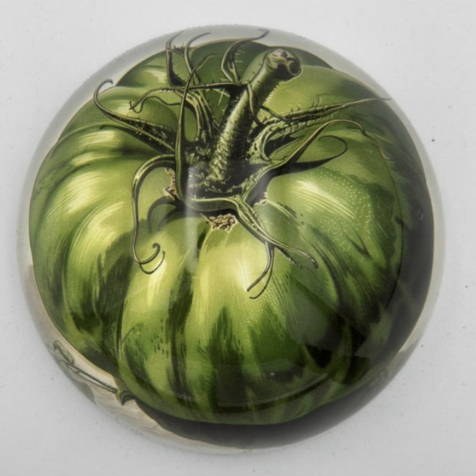 Saint Austin Company Decorative Paperweights in Fruits & Vegetables