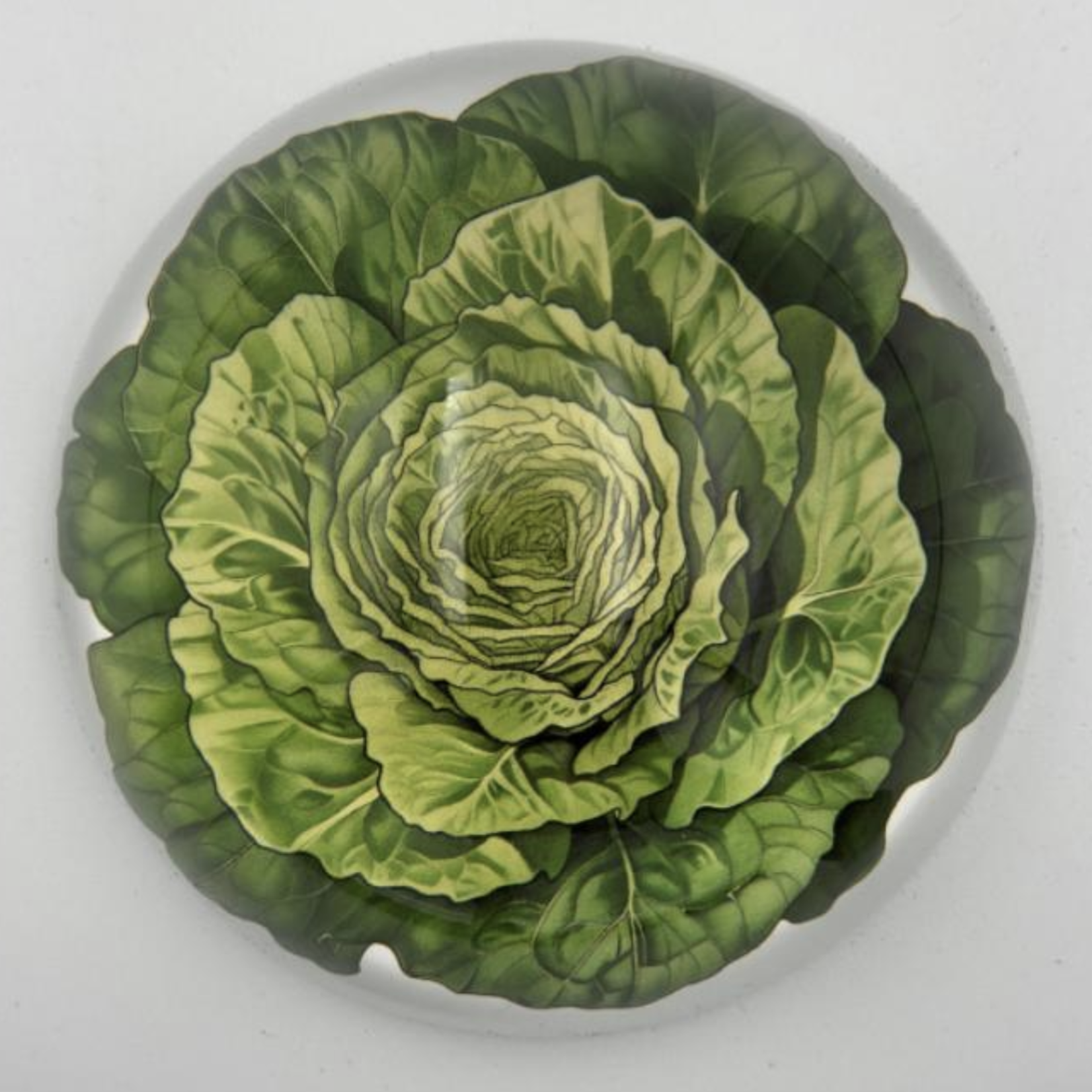 Saint Austin Company Decorative Paperweights in Fruits & Vegetables