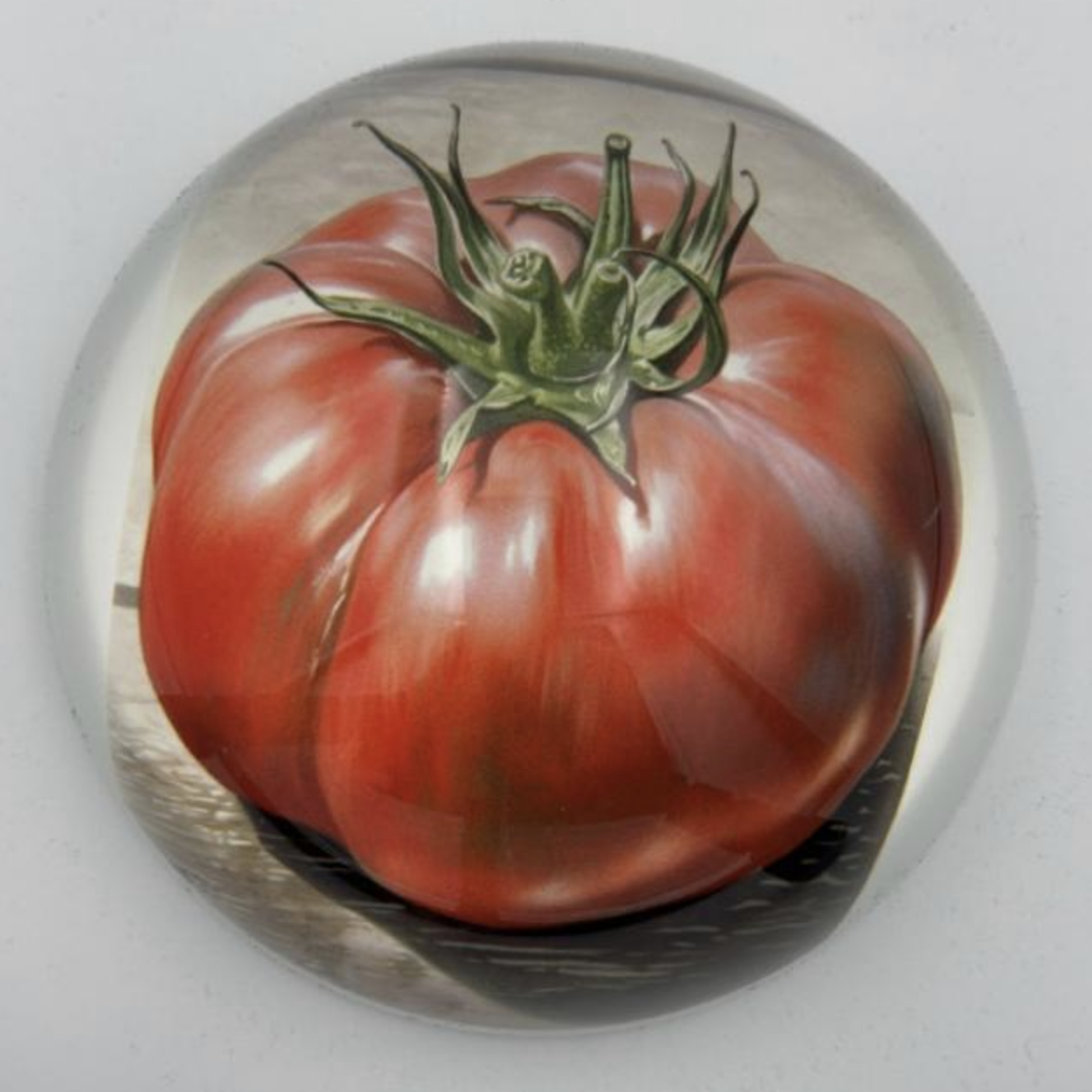 Saint Austin Company Decorative Paperweights in Fruits & Vegetables