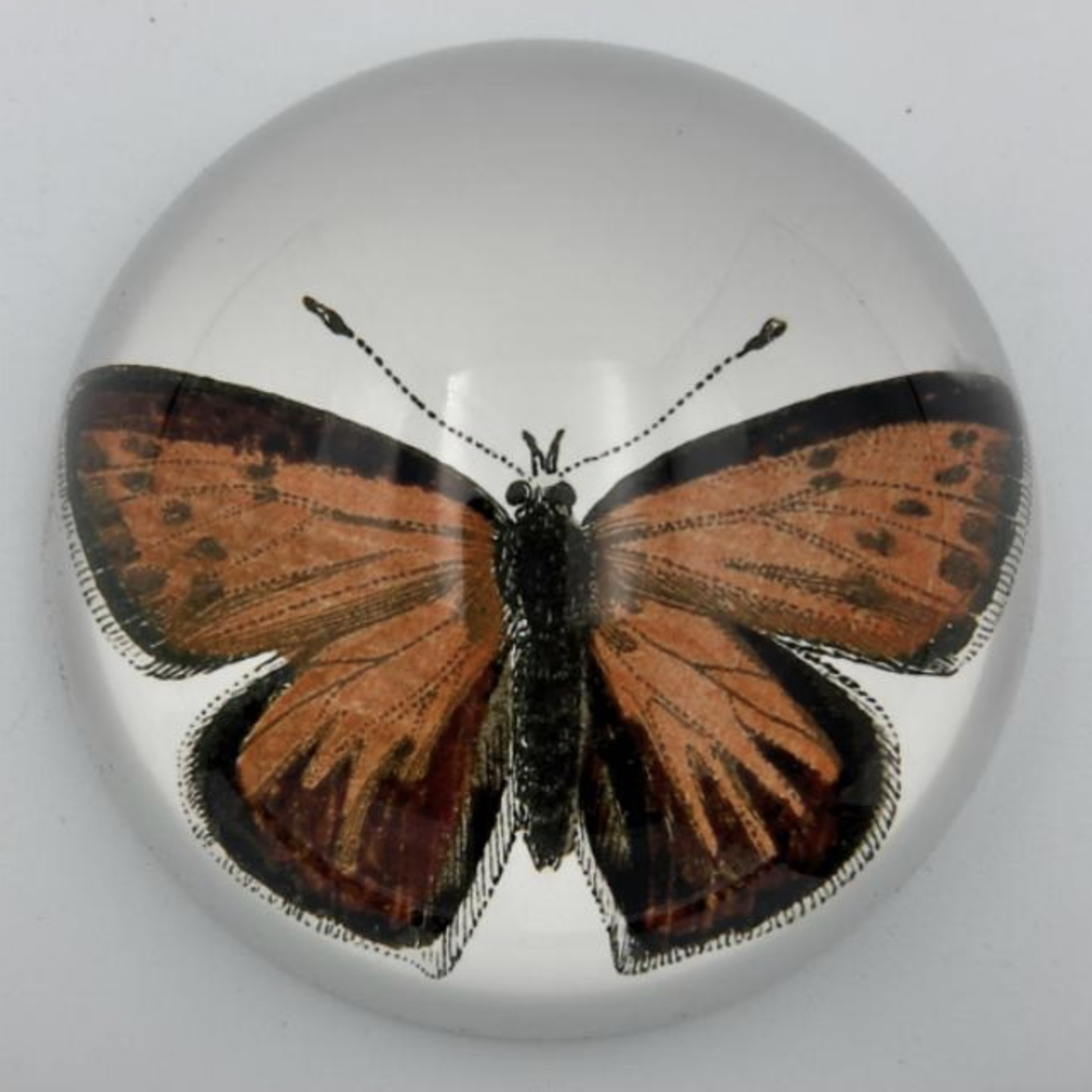 Saint Austin Company Decorative Paperweights in Animal