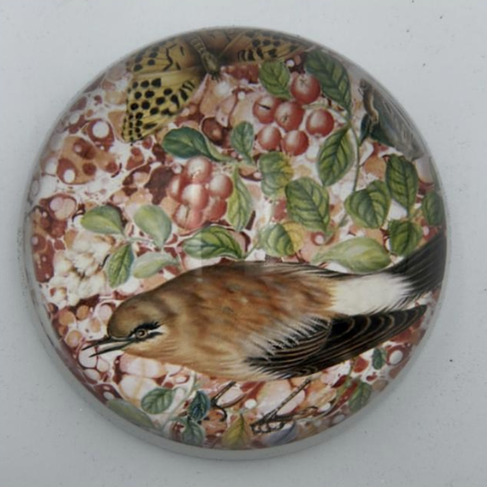 Saint Austin Company Decorative Paperweights in Animal