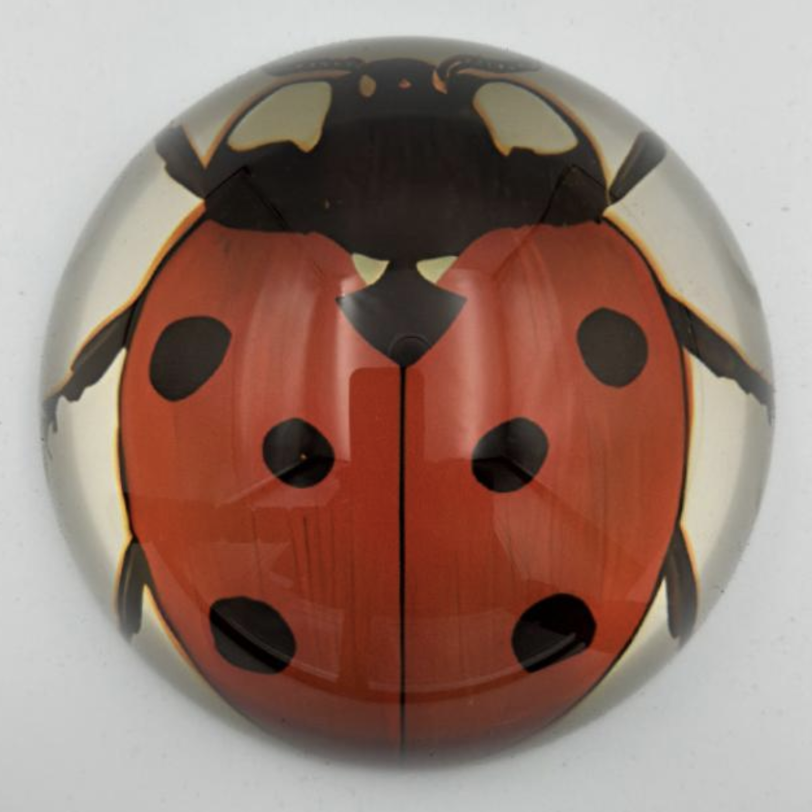 Saint Austin Company Decorative Paperweights in Animal